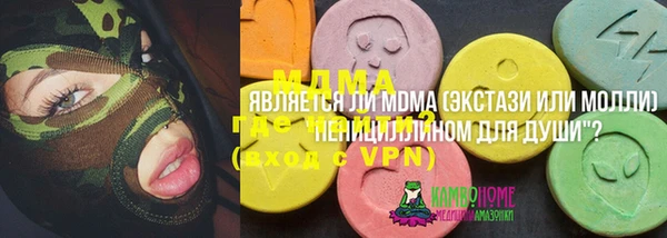 гидра Няндома