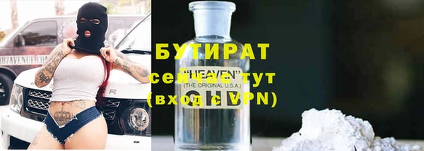гидра Няндома