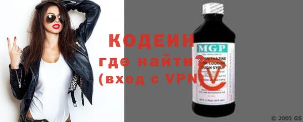 гидра Няндома