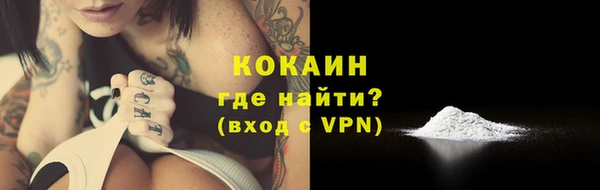 гидра Няндома