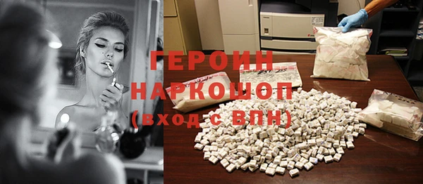 гидра Няндома
