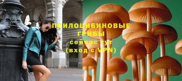 таблы Осташков